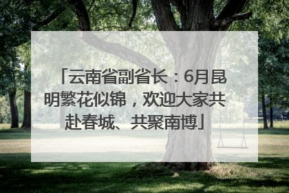 云南省副省长：6月昆明繁花似锦，欢迎大家共赴春城、共聚南博
