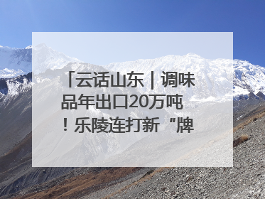 云话山东｜调味品年出口20万吨！乐陵连打新“牌”助力企业出海