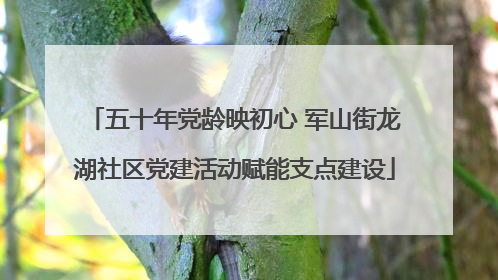五十年党龄映初心 军山街龙湖社区党建活动赋能支点建设