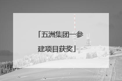 五洲集团一参建项目获奖