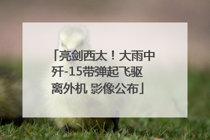 亮剑西太！大雨中歼-15带弹起飞驱离外机 影像公布