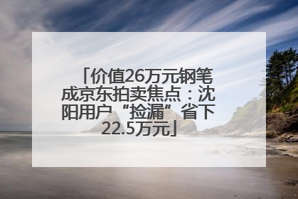 价值26万元钢笔成京东拍卖焦点：沈阳用户“捡漏”省下22.5万元