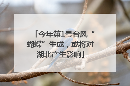 今年第1号台风“蝴蝶”生成，或将对湖北产生影响