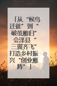 从“候鸟迁徙”到“破茧雁归” 会泽县“三翼齐飞”打造乡村振兴“创业雁阵”