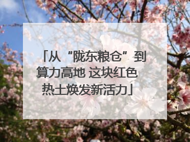 从“陇东粮仓”到算力高地 这块红色热土焕发新活力