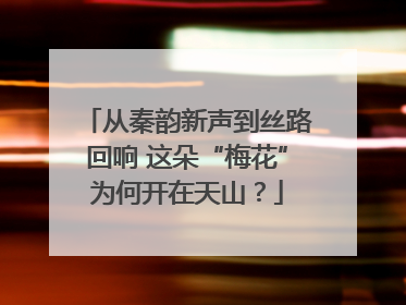 从秦韵新声到丝路回响 这朵“梅花”为何开在天山？