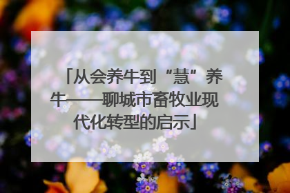从会养牛到“慧”养牛——聊城市畜牧业现代化转型的启示