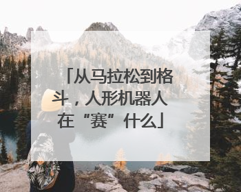 从马拉松到格斗，人形机器人在“赛”什么