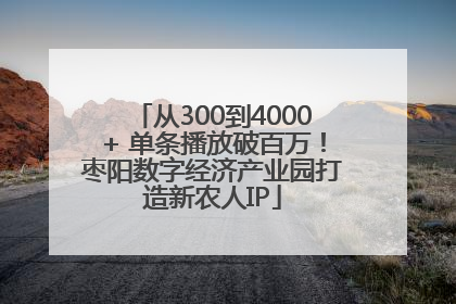 从300到4000+ 单条播放破百万！枣阳数字经济产业园打造新农人IP