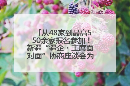 从48家到最高550余家报名参加！新疆“疆企・主席面对面”协商座谈会为何如此受欢迎？