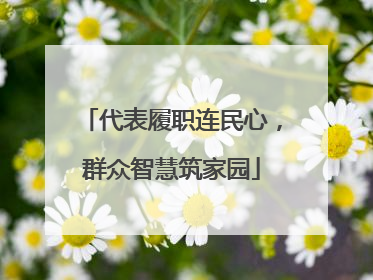 代表履职连民心，群众智慧筑家园