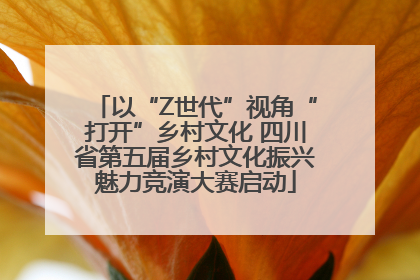 以“Z世代”视角“打开”乡村文化 四川省第五届乡村文化振兴魅力竞演大赛启动