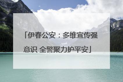 伊春公安：多维宣传强意识 全警聚力护平安