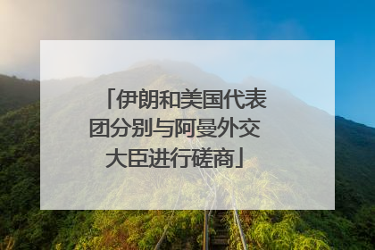 伊朗和美国代表团分别与阿曼外交大臣进行磋商