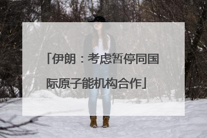 伊朗：考虑暂停同国际原子能机构合作