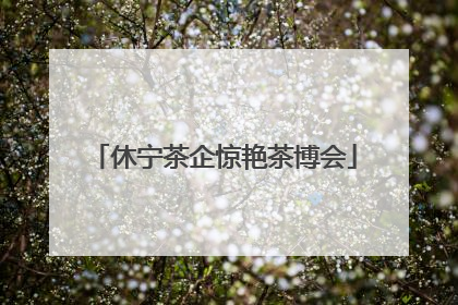 休宁茶企惊艳茶博会