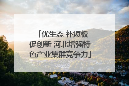 优生态 补短板 促创新 河北增强特色产业集群竞争力