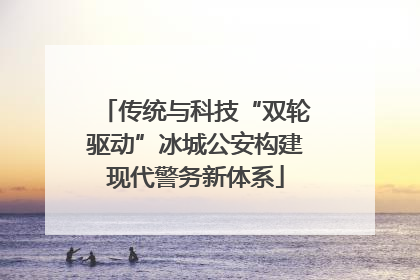 传统与科技“双轮驱动”冰城公安构建现代警务新体系