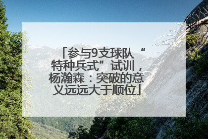 参与9支球队“特种兵式”试训，杨瀚森：突破的意义远远大于顺位