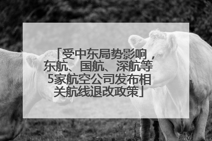 受中东局势影响，东航、国航、深航等5家航空公司发布相关航线退改政策