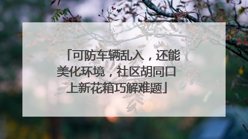 可防车辆乱入，还能美化环境，社区胡同口上新花箱巧解难题