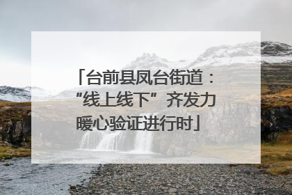 台前县凤台街道：“线上线下”齐发力 暖心验证进行时