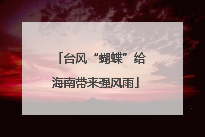 台风“蝴蝶”给海南带来强风雨
