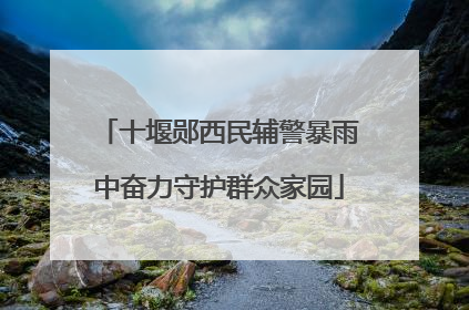 十堰郧西民辅警暴雨中奋力守护群众家园