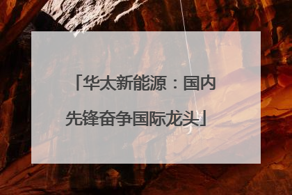 华太新能源：国内先锋奋争国际龙头