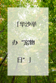 华沙举办“宠物日”