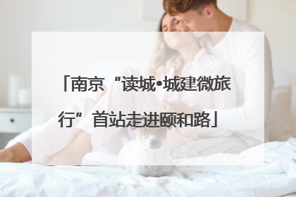 南京“读城•城建微旅行”首站走进颐和路