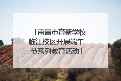 南昌市育新学校临江校区开展端午节系列教育活动