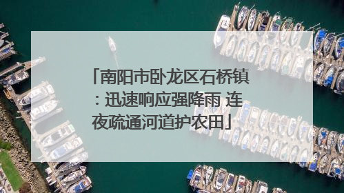 南阳市卧龙区石桥镇：迅速响应强降雨 连夜疏通河道护农田