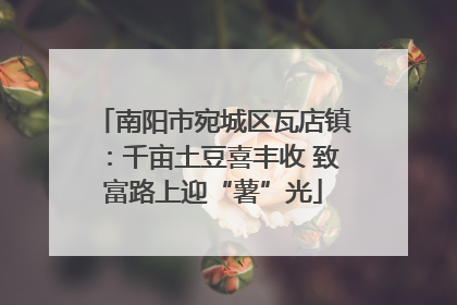 南阳市宛城区瓦店镇：千亩土豆喜丰收 致富路上迎“薯”光