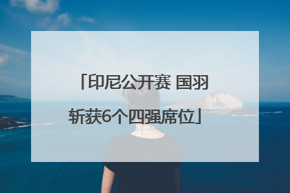 印尼公开赛 国羽斩获6个四强席位