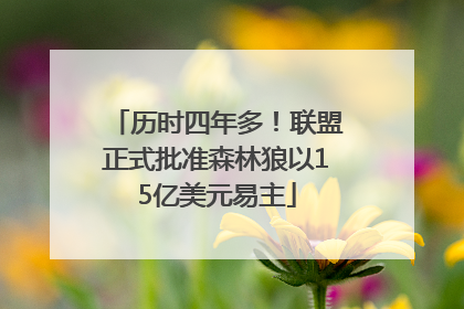 历时四年多！联盟正式批准森林狼以15亿美元易主