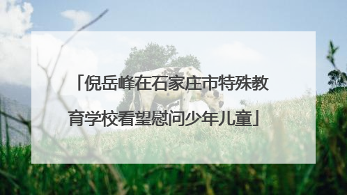 倪岳峰在石家庄市特殊教育学校看望慰问少年儿童