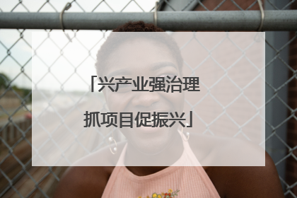 兴产业强治理 抓项目促振兴