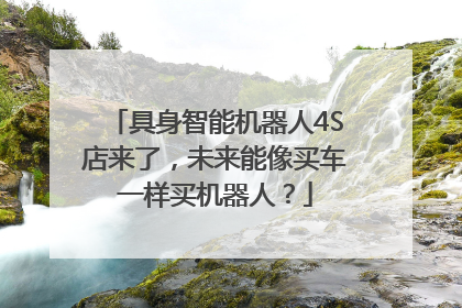 具身智能机器人4S店来了，未来能像买车一样买机器人？