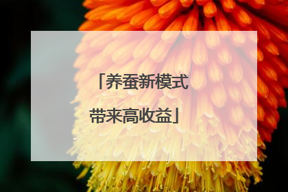养蚕新模式带来高收益