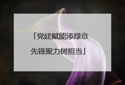 党建赋能添绿意 先锋聚力树担当
