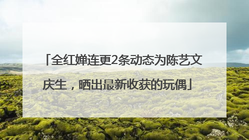 全红婵连更2条动态为陈艺文庆生，晒出最新收获的玩偶