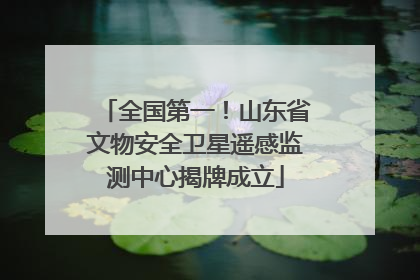 全国第一！山东省文物安全卫星遥感监测中心揭牌成立