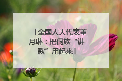 全国人大代表董月琳：把侗族“讲款”用起来