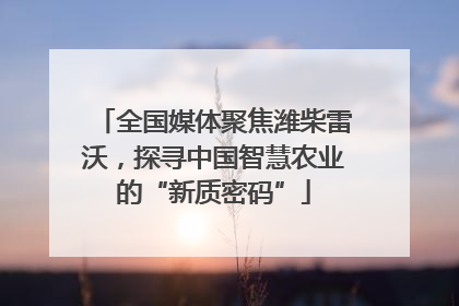 全国媒体聚焦潍柴雷沃，探寻中国智慧农业的“新质密码”
