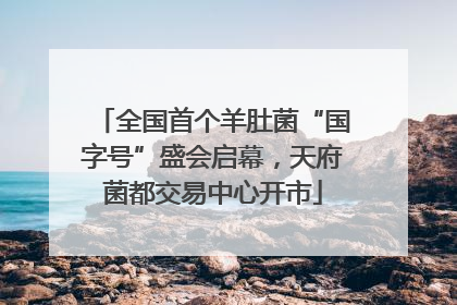 全国首个羊肚菌“国字号”盛会启幕，天府菌都交易中心开市