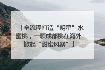 全流程打造“明星”水蜜桃，一颗成都桃在海外掀起“甜蜜风暴”