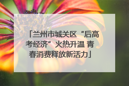 兰州市城关区“后高考经济”火热升温 青春消费释放新活力