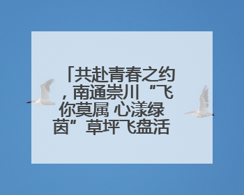 共赴青春之约，南通崇川“飞你莫属 心漾绿茵”草坪飞盘活动举办