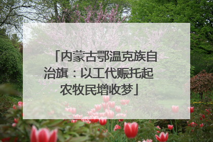 内蒙古鄂温克族自治旗：以工代赈托起农牧民增收梦